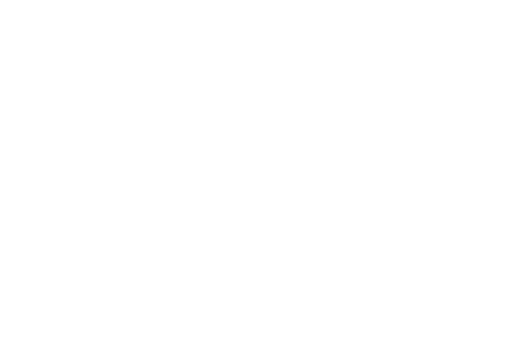 IDQ LOGO